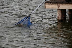 IMG_2188 (Groot).JPG