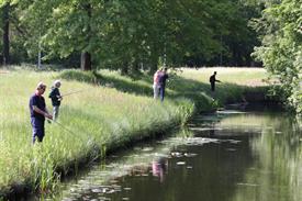 IMG_7023 (Groot).JPG