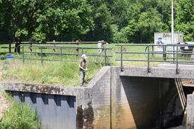 IMG_7135 (Groot).JPG