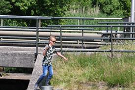 IMG_7140 (Groot).JPG