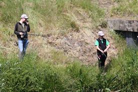 IMG_7141 (Groot).JPG