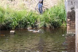 IMG_7157 (Groot).JPG