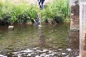 IMG_7161 (Groot).JPG