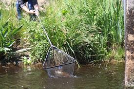 IMG_7166 (Groot).JPG