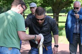 IMG_7168 (Groot).JPG