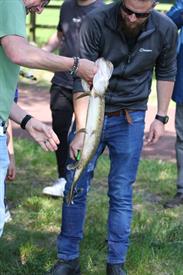 IMG_7169 (Groot).JPG