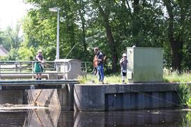 IMG_7177 (Groot).JPG