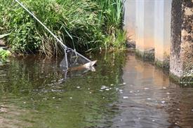 IMG_7194 (Groot).JPG