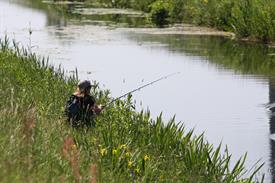 IMG_7205 (Groot).JPG