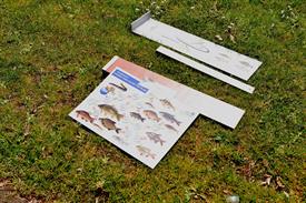 JohanWolff 2016-05-28 129  jpg