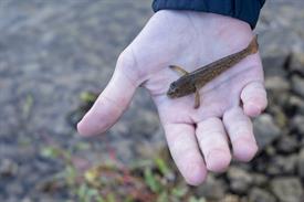 JOWOP01102022sporvisserijvssportvisserij (1021 van 29) (Middel).jpg