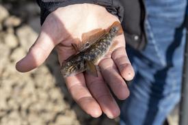 JOWOP01102022sporvisserijvssportvisserij (1022 van 25) (Middel).jpg