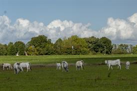 JOWOP08102022sporvisserijvssportvisserij (1032 van 39).jpg