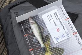 JOWOP19102022sportvisserijvssportvisserij (1000 van 39)-2-A.jpg