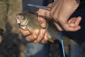 JWjeugddagsportvisserij23102021 1000 van 12.jpg