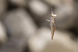 JWjeugddagsportvisserij23102021 1002 van 9.jpg