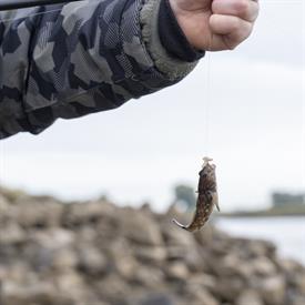 JWjeugddagsportvisserij23102021 1004 van 18.jpg