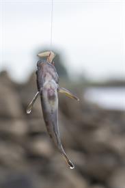 JWjeugddagsportvisserij23102021 1005 van 18.jpg