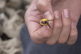 JWjeugddagsportvisserij23102021 1005 van 9-2.jpg