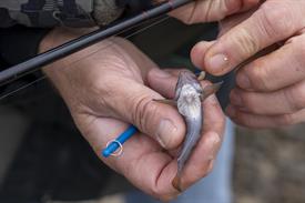 JWjeugddagsportvisserij23102021 1006 van 18.jpg