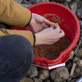 JWjeugddagsportvisserij23102021 1006 van 19-2.jpg