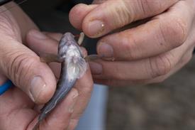 JWjeugddagsportvisserij23102021 1007 van 18.jpg