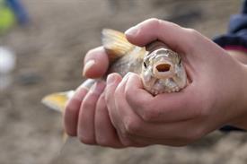 JWjeugddagsportvisserij23102021 1014 van 30-2.jpg