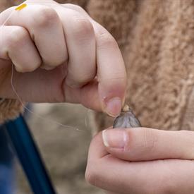 JWjeugddagsportvisserij23102021 1014 van 69.jpg