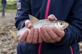 JWjeugddagsportvisserij23102021 1015 van 30-2.jpg