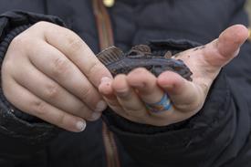 JWjeugddagsportvisserij23102021 1017 van 18.jpg