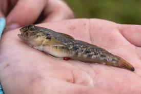 JWjeugddagsportvisserij23102021 1017 van 30-2.jpg