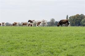 JWjeugddagsportvisserij23102021 1021 van 69.jpg