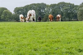 JWjeugddagsportvisserij23102021 1022 van 69.jpg