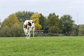 JWjeugddagsportvisserij23102021 1023 van 69.jpg