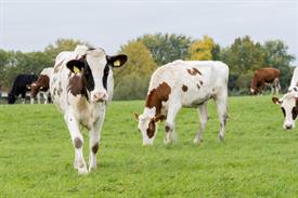 JWjeugddagsportvisserij23102021 1024 van 69.jpg