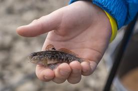 JWjeugddagsportvisserij23102021 1025 van 30-2.jpg
