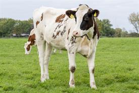 JWjeugddagsportvisserij23102021 1025 van 69.jpg