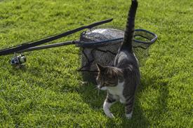 JWNES (1000 van 30).jpg