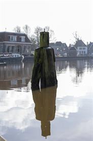 JWNES (1001 van 10) (Middel).jpg