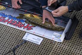 JWNES (1002 van 20).jpg