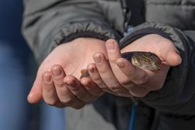 JWNES (1004 van 37) (Middel).jpg