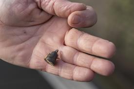 JWNES (1005 van 11) (Middel).jpg