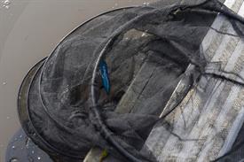 JWNES (1005 van 20)-2 (Middel).jpg