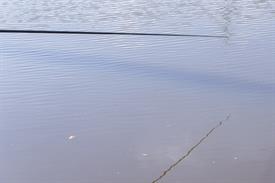 JWNES (1006 van 15)-2 (Middel).jpg