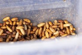 JWNES (1007 van 15)-2 (Middel).jpg