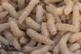 JWNES (1009 van 15)-2 (Middel).jpg