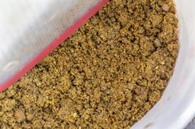 JWNES (1016 van 20) (Middel).jpg