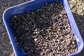 JWNES (1022 van 50) (Middel).jpg