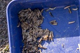 JWNES (1023 van 50) (Middel).jpg