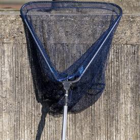 JWNES (1034 van 47) (Middel).jpg